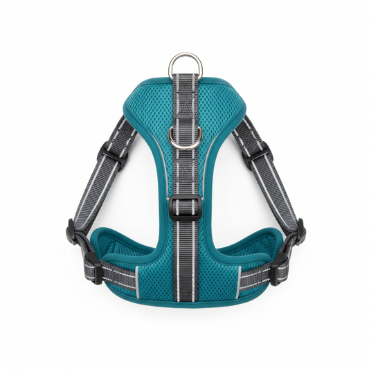 Barkside No-Pull Padded Dog Harness